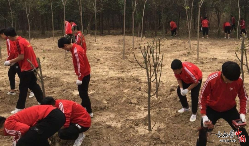 温县张保忠太极武院师生携手义务劳动重展新颜