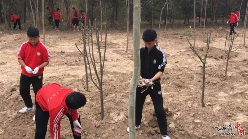 温县张保忠太极武院师生携手义务劳动重展新颜