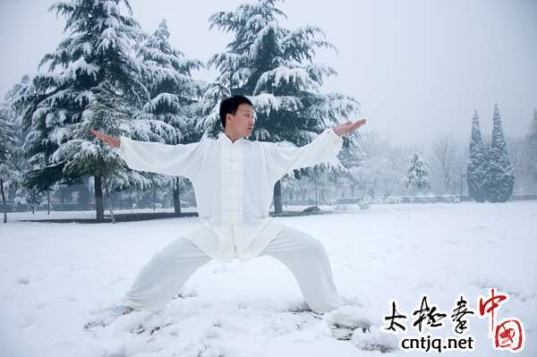 太极名师朱学峰拳照欣赏