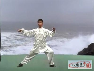 和式太极拳  十八式  分解动作