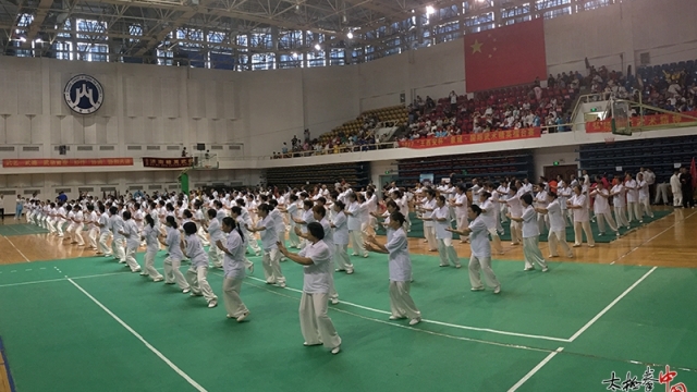 2017年“王西安杯”泉城国际武术精英擂台赛今日圆满落幕